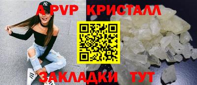 стаф Новозыбков