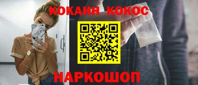 индика Новодвинск