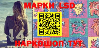 индика Новодвинск