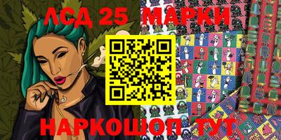 индика Новодвинск