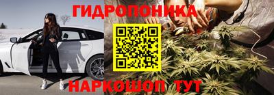 индика Новодвинск