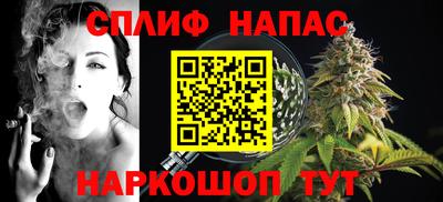 индика Новодвинск