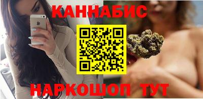 стаф Новозыбков