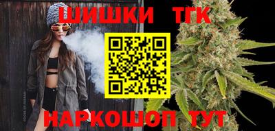 индика Новодвинск