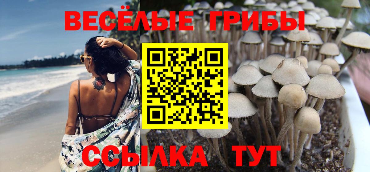 Галлюциногенные грибы прущие грибы Феодосия